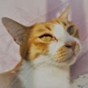 Meet your Posher, Eugene